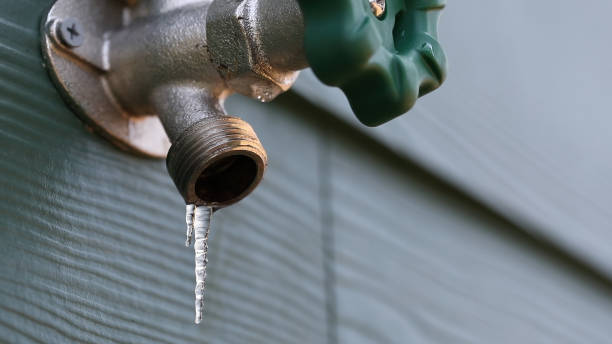 Best Emergency Plumbing Repair  in Pleasant Grove, AL